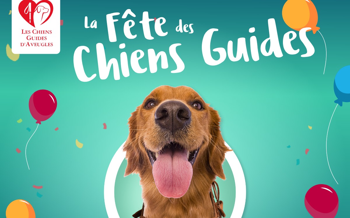 Association de chiens guides d'aveugles de Lyon et du Centre-Est