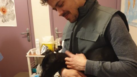 Theo Noguer, vétérinaire est assis, un chiot labrador noir sur ses genoux