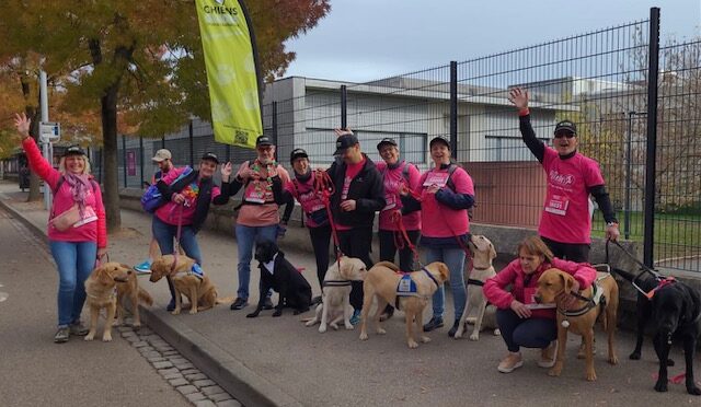 L'équipe des marcheurs vêtus de T-shirts roses et leurs chiens guides