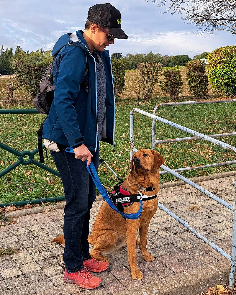 Mélanie Dandoit et Sully lors de la remise à Misérieux. Sully est assis aux côtés de sa nouvelle maîtresse qui le tient au harnais, ils semblent tous deux échanger un regard.