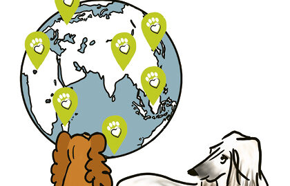 Fac-similé de la couverture du recueil de nouvelles de Danièle Chausse Bizet, illustrée par le dessin de deux chiens qui regardent un globe terrestre.