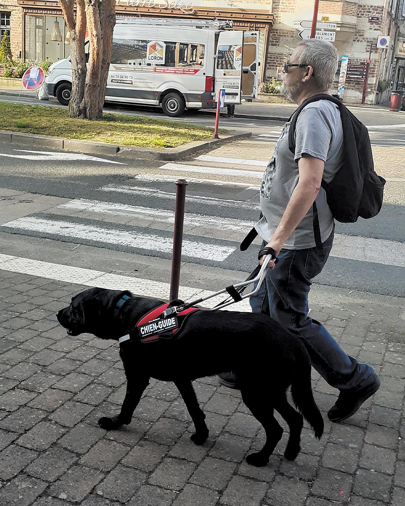 Lionel, guidé par Toupie, évolue en ville sur un large trottoir. A l'arrière-plan, un passage piéton et l'environnement urbain (voies de circulation, arbre et maisons de ville).