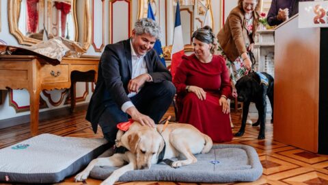 Le maire de Chalon et Christelle Vaupré a genoux près de Sépia lors de sa remise à la mairie de Chalon