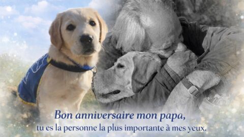 Montage montrant Ottawa bébé puis Ottawa dans les bras de Mario réalisé à l'occasion de son anniversaire