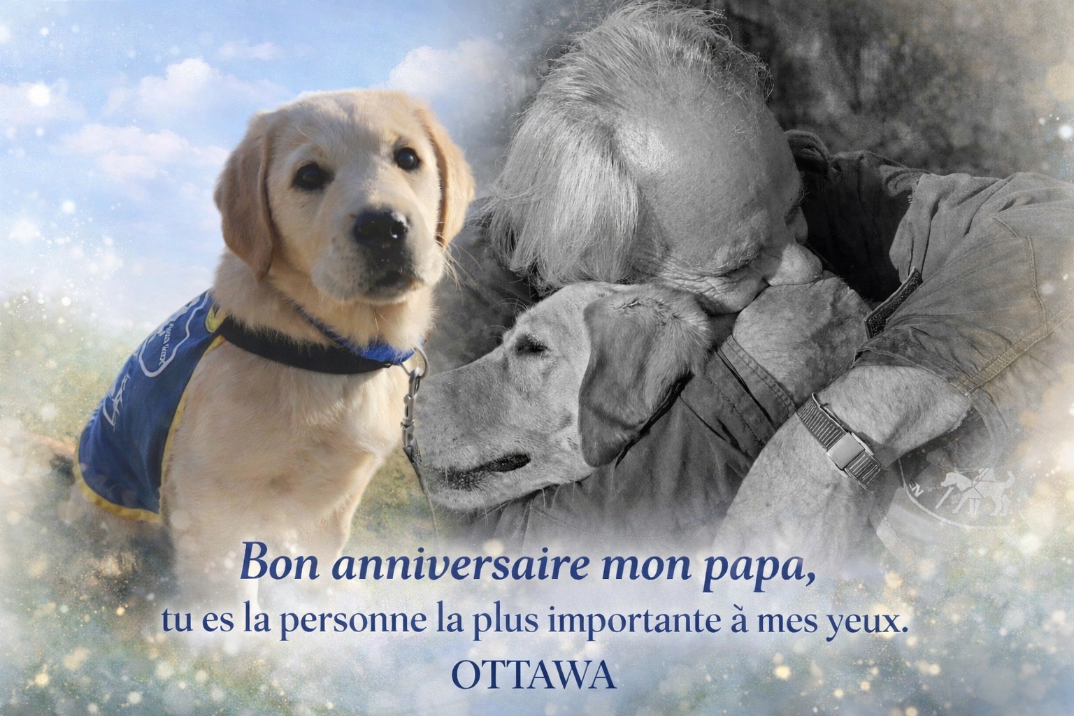 Montage montrant Ottawa bébé puis Ottawa dans les bras de Mario réalisé à l'occasion de son anniversaire