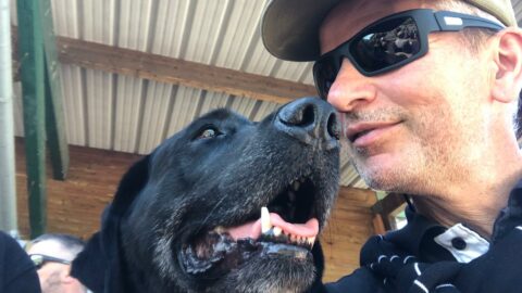 Zoom sur le visage de Regis avec son chien Népal