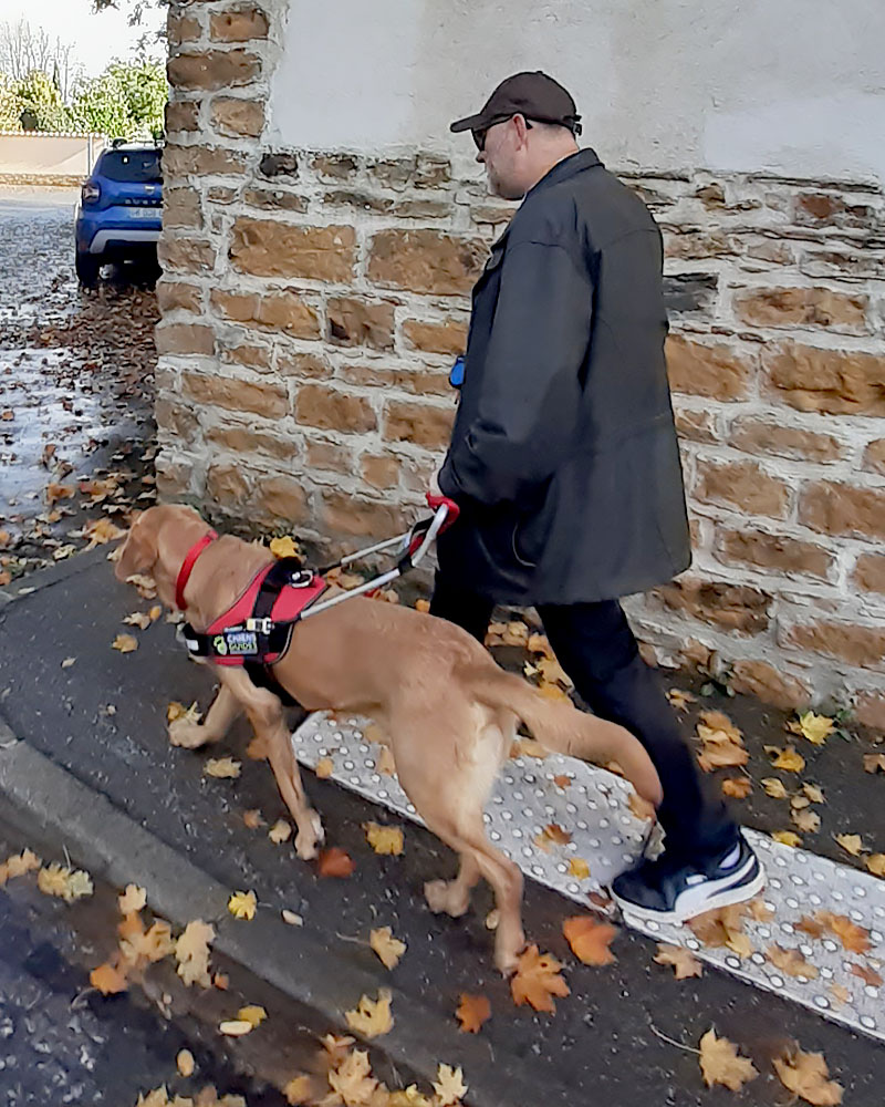 Christophe et Unick en déplacement. Mur en pierre et crépi, feuilles aux couleurs d'automne composent le décor.