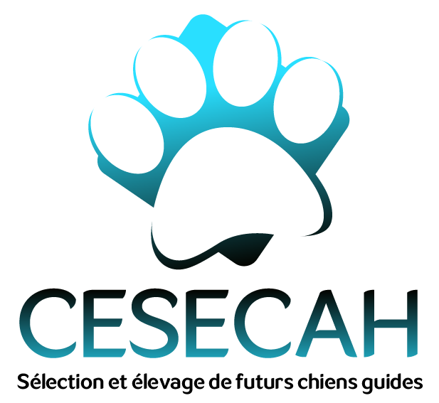 Cesecah logo