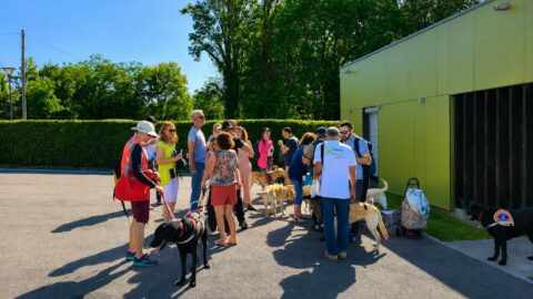 Plusieurs maîtres chiens guides, salariés et adhérents sont réunis au soleil, en train de discuter, devant le bâtiment de formation pour la Journée de l'association 2026.