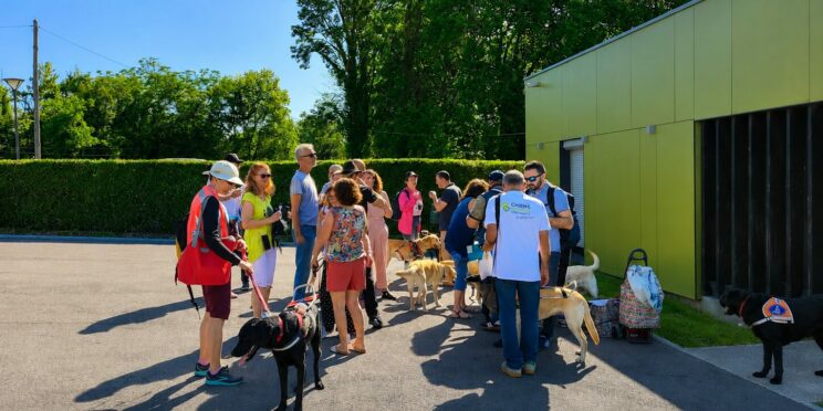 Plusieurs maîtres chiens guides, salariés et adhérents sont réunis au soleil, en train de discuter, devant le bâtiment de formation pour la Journée de l'association 2026.